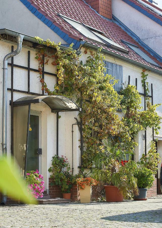 Reiterhof Wollnau Apartamento Exterior foto